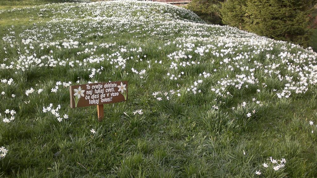 Penzion Pr' Betel Jesenice Buitenkant foto